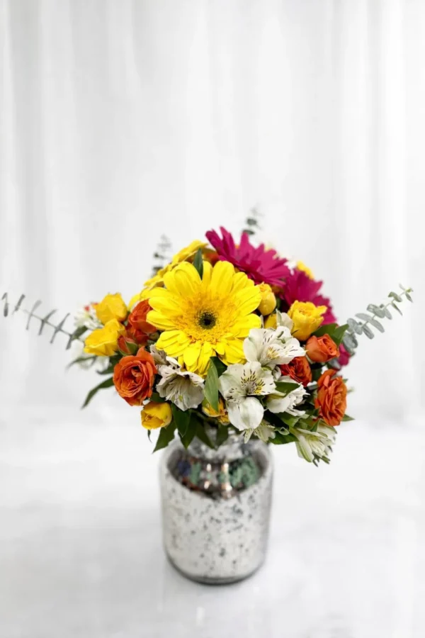 WhatsApp Image 2026-01-18 at 7.41.27 PM (1) Juntos hoy