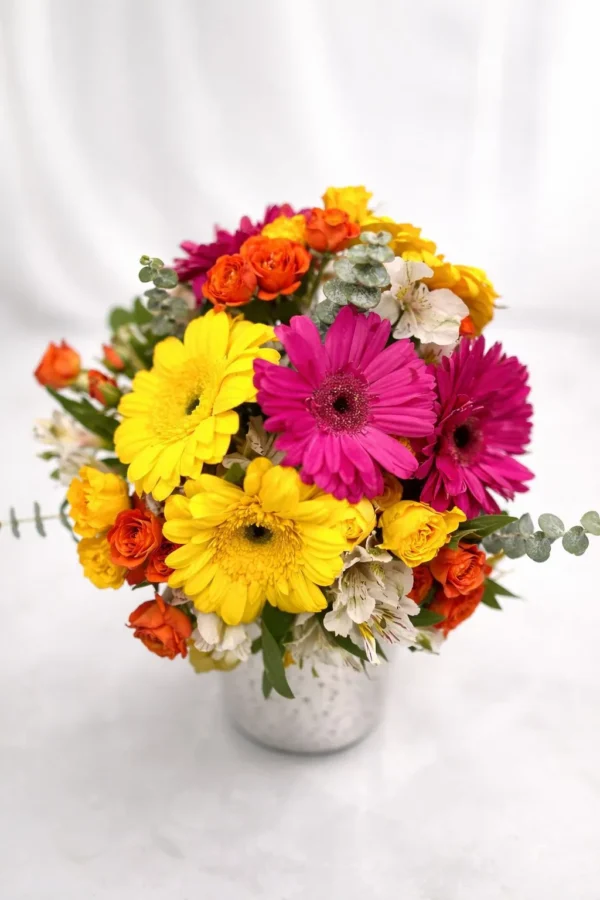 WhatsApp Image 2026-01-18 at 7.41.27 PM Juntos hoy