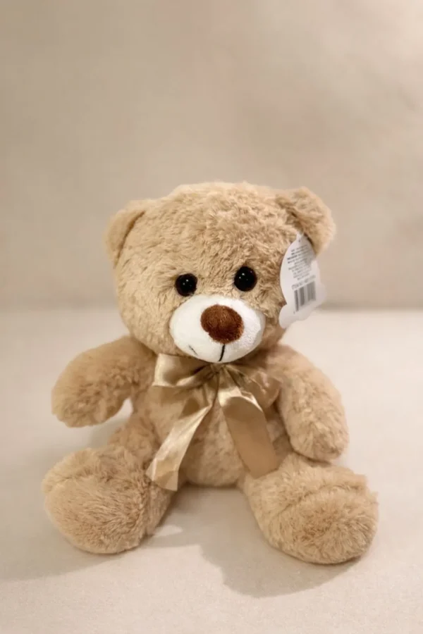 WhatsApp Image 2026-01-18 at 7.57.48 PM (1) Oso de peluche