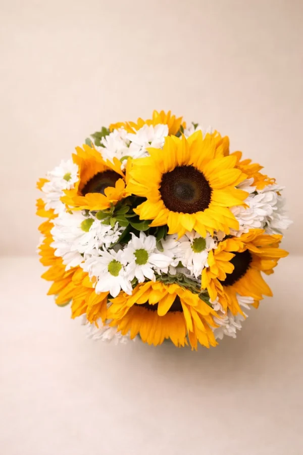 WhatsApp Image 2026-01-22 at 11.47.15 PM Sol y pureza