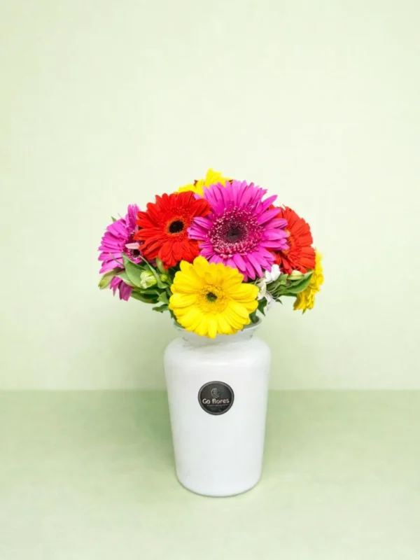 Sonrisa de cumpleaños (15 gerberas)