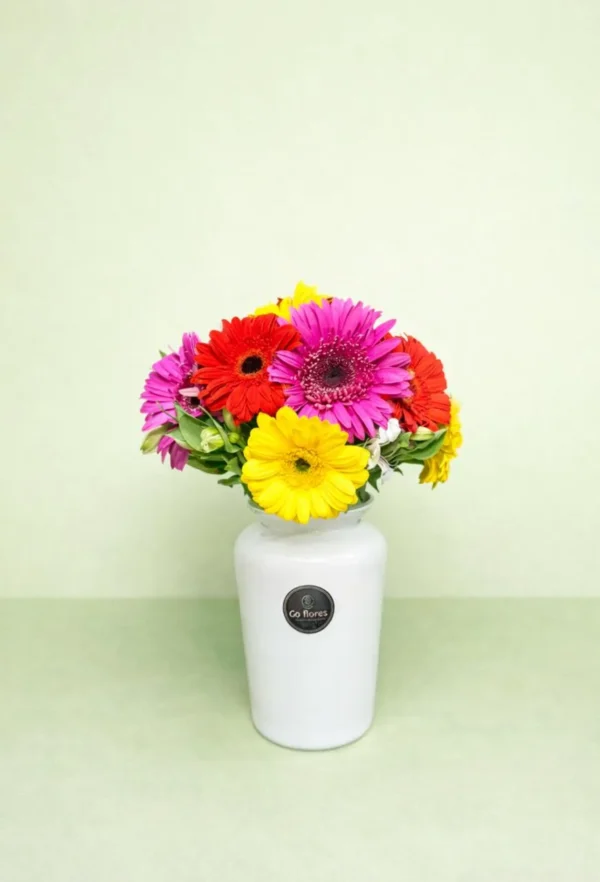 Sonrisa de cumpleaños (15 gerberas)