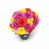 WhatsApp Image 2026-02-08 at 7.19.52 PM Abrazo floral (30 gerberas)