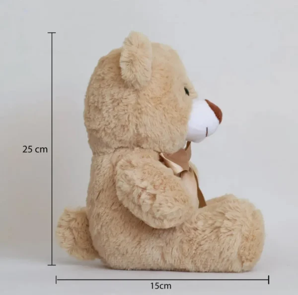 WhatsApp Image 2026-02-19 at 5.49.21 PM Oso de peluche