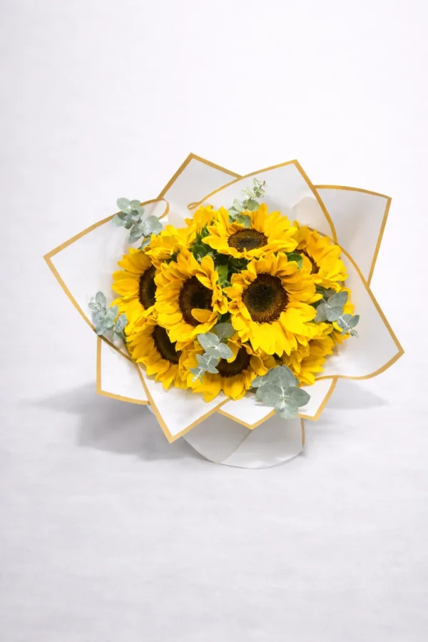 ChatGPT Image 24 feb 2026, 21_30_46 Sol radiante