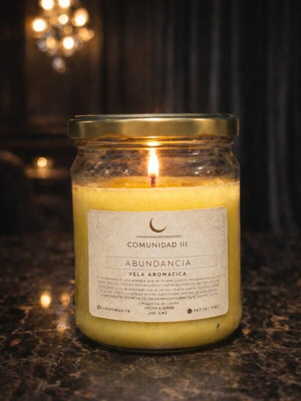 Vela Aromática De Soya. Abundancia. 290g | Comunidad 118