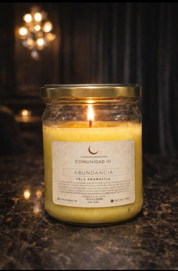 IMG_0401 Vela Aromática De Soya. Abundancia. 290g | Comunidad 118
