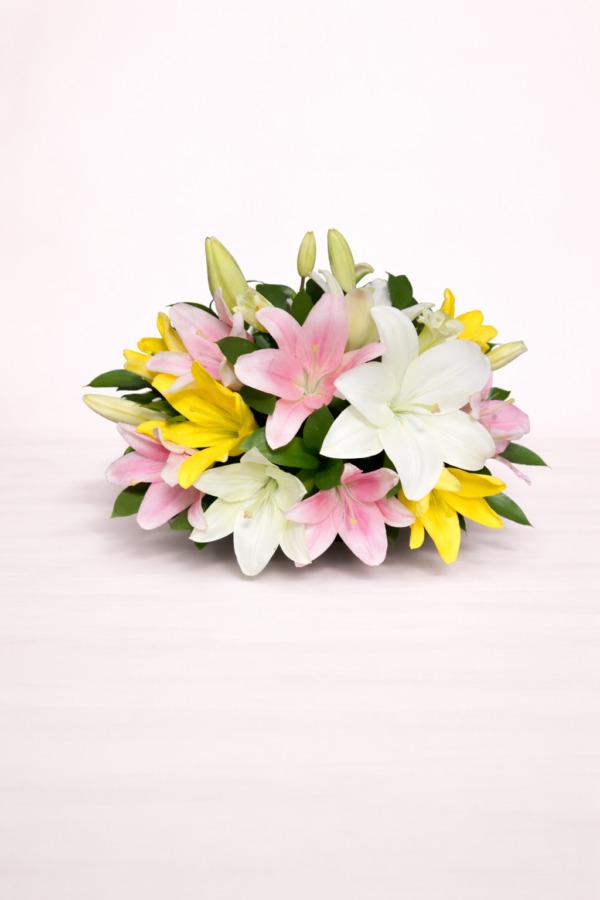 Aprecio sincero (8 lilis)