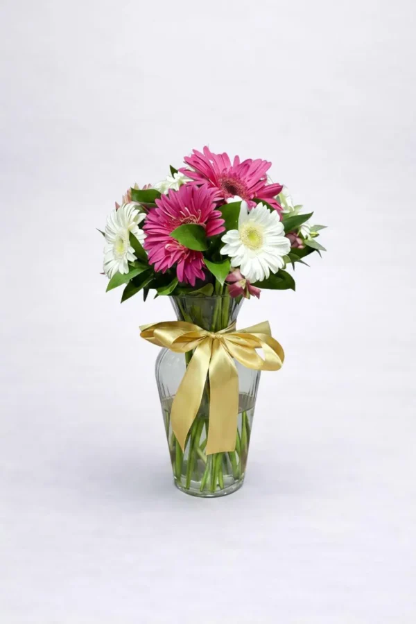 WhatsApp Image 2026-02-24 at 2.29.52 PM (1) ¡Gracias por todo!