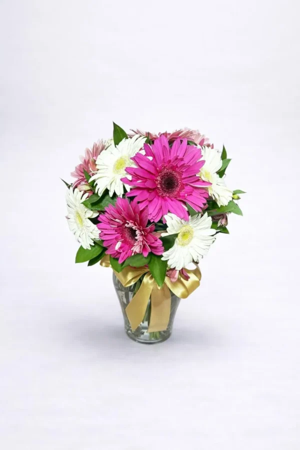 WhatsApp Image 2026-02-24 at 2.29.52 PM ¡Gracias por todo!