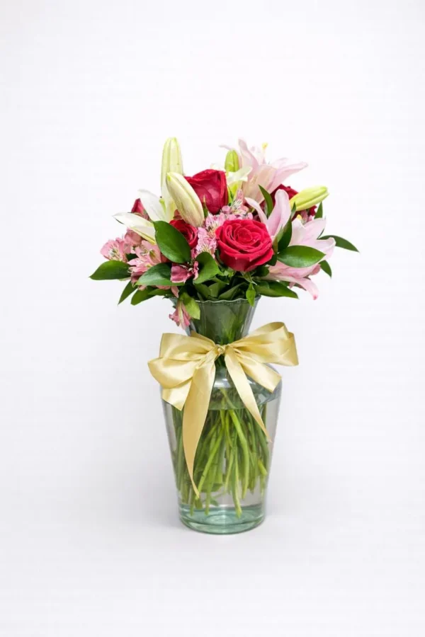 WhatsApp Image 2026-02-24 at 3.29.12 PM Gracias siempre