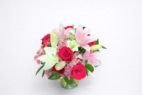 WhatsApp Image 2026-02-24 at 3.29.13 PM Gracias siempre