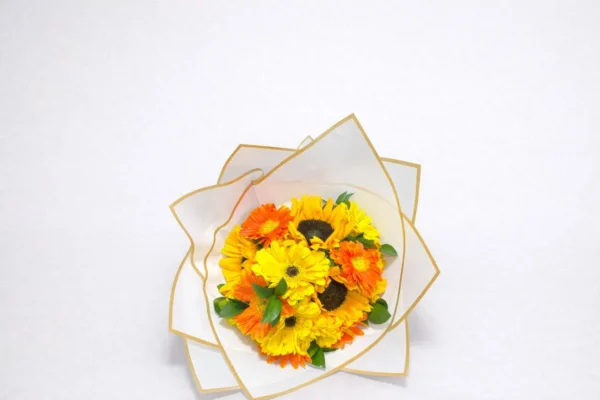 WhatsApp Image 2026-02-24 at 3.39.01 PM Gracias de corazón