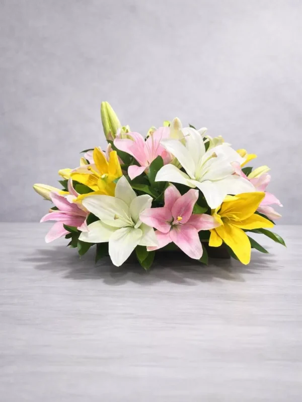 Aprecio sincero (8 lilis)