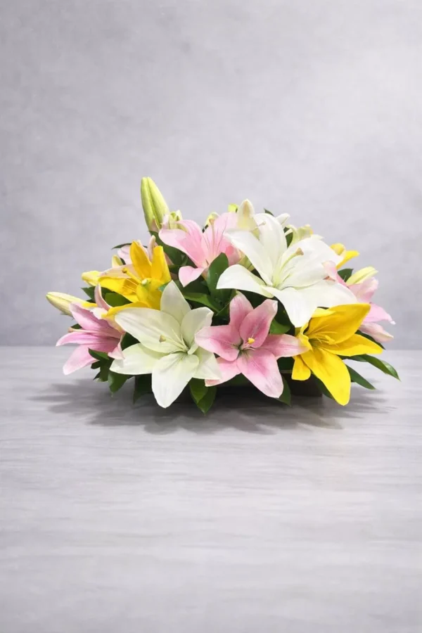 Aprecio sincero (8 lilis)