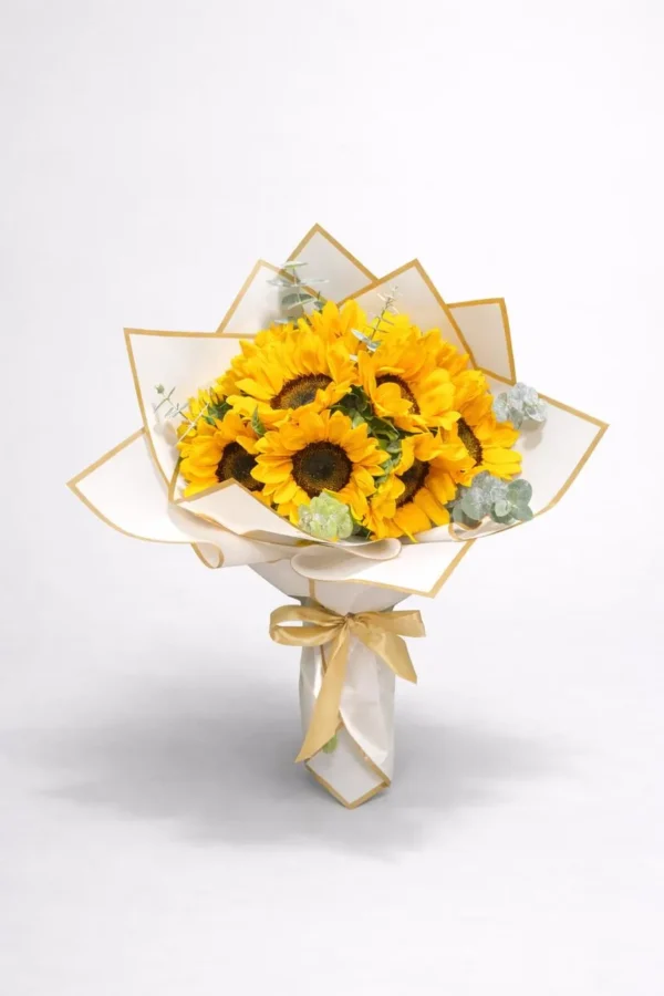 WhatsApp Image 2026-02-24 at 5.12.10 PM (1) Sol radiante