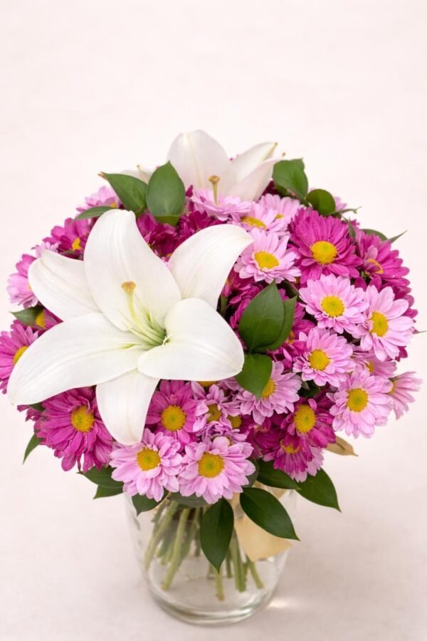 6f588545-e95d-44e7-925b-e5ee7ead3370 Viva la alegría