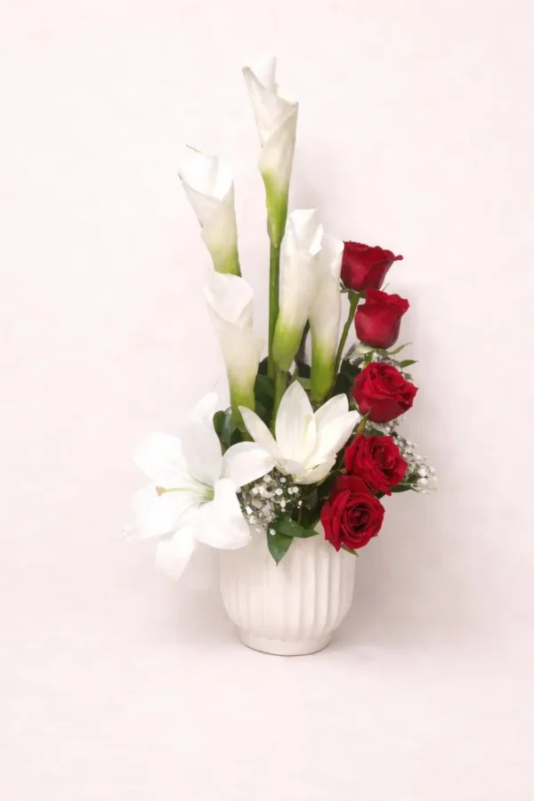 WhatsApp Image 2026-03-05 at 8.05.59 AM Amor eterno