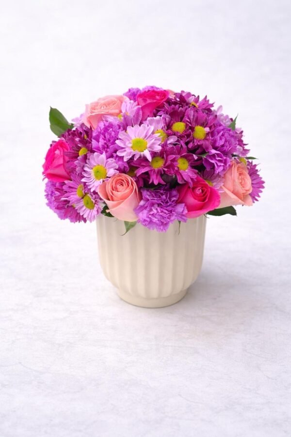 ffcb4610-1549-484a-9fe3-e47b493b5759 Encanto festivo