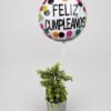 Planta árbol abundancia y globo