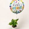 Planta teléfono y globo