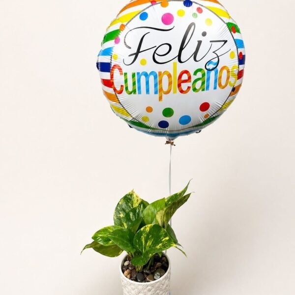 Planta teléfono y globo