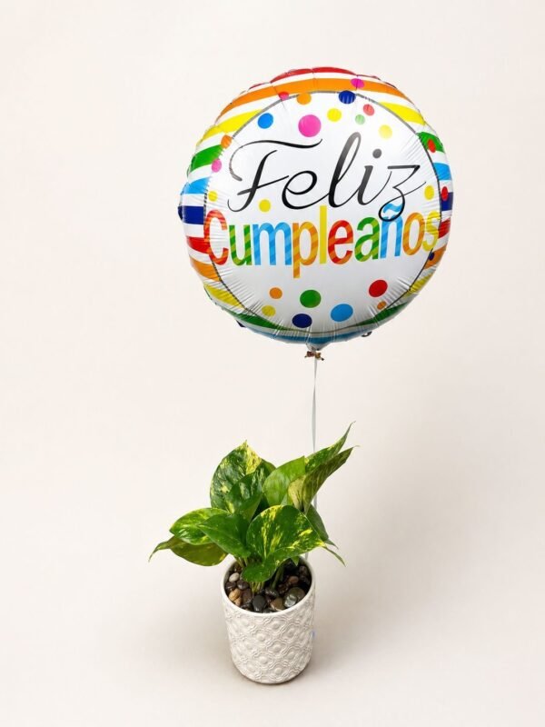 Planta teléfono y globo